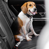 Buffer Adjustable Dog Car Seat Belt - milospaw