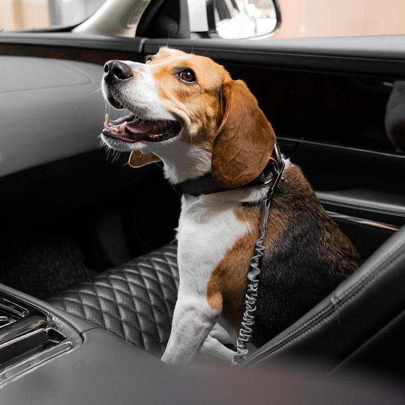 Buffer Adjustable Dog Car Seat Belt - milospaw