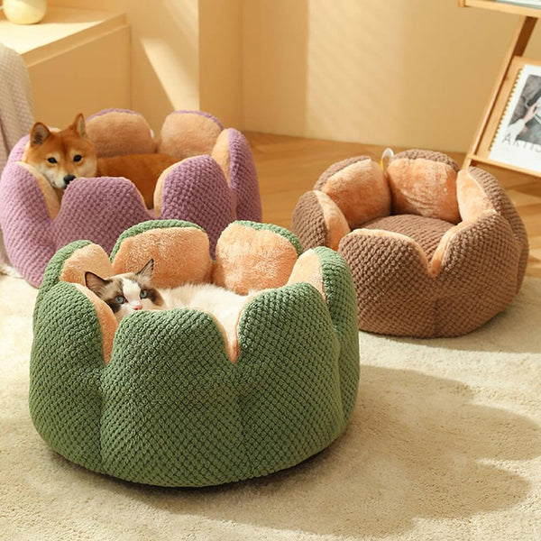 Cactus Shape Comfy Pet Bed - milospaw