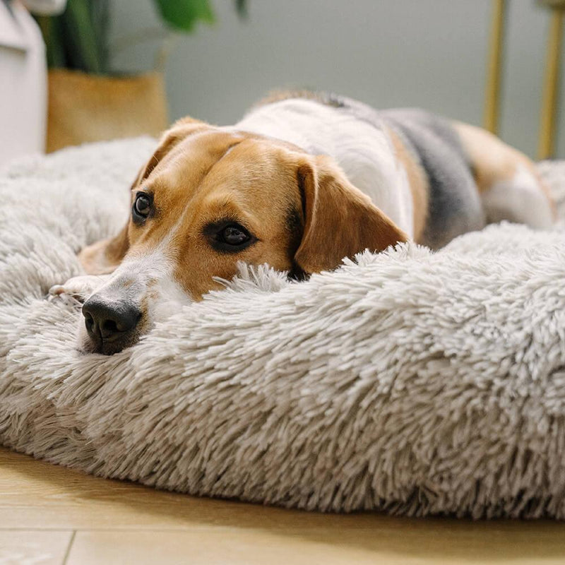 Fuzzy Round Fluffy Dog Bed - milospaw