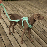 Gummy Dog Harness - milospaw