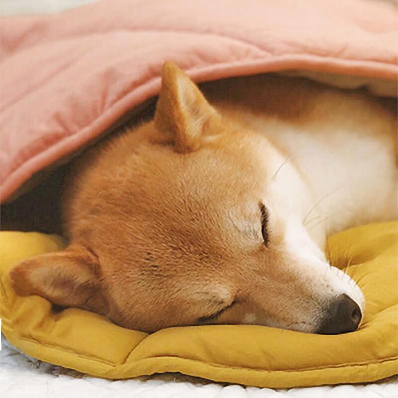 Leaf Shape Dog Blanket - milospaw