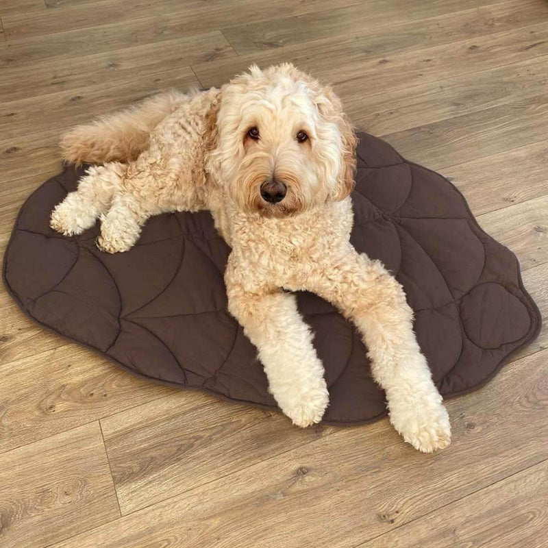 Leaf Shape Dog Blanket - milospaw