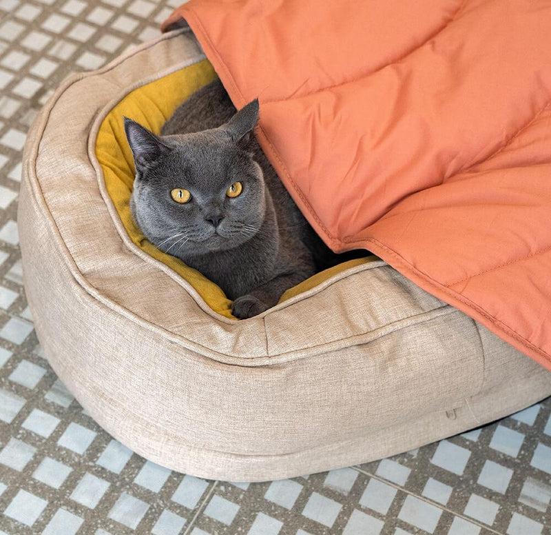 Leaf Shape Dog Blanket With Donut Dog Bed - milospaw