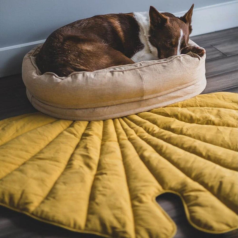 Leaf Shape Dog Blanket With Donut Dog Bed - milospaw