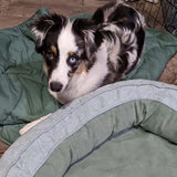 Leaf Shape Dog Blanket With Donut Dog Bed - milospaw