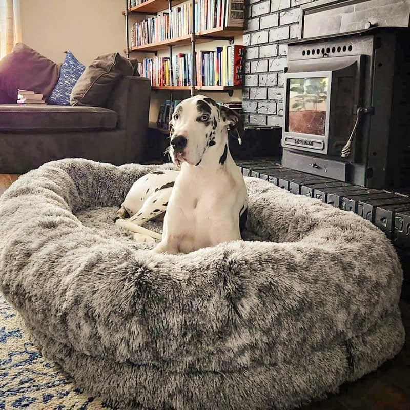 Luxury Super Large Sleep Deeper Human Dog Bed - milospaw