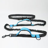 Multifunction Hands Free Dog Leash With Safety Seat Belt - milospaw