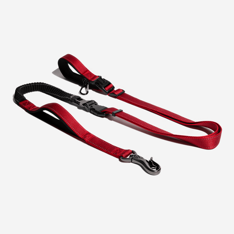 Multifunction Hands Free Dog Leash With Safety Seat Belt - milospaw