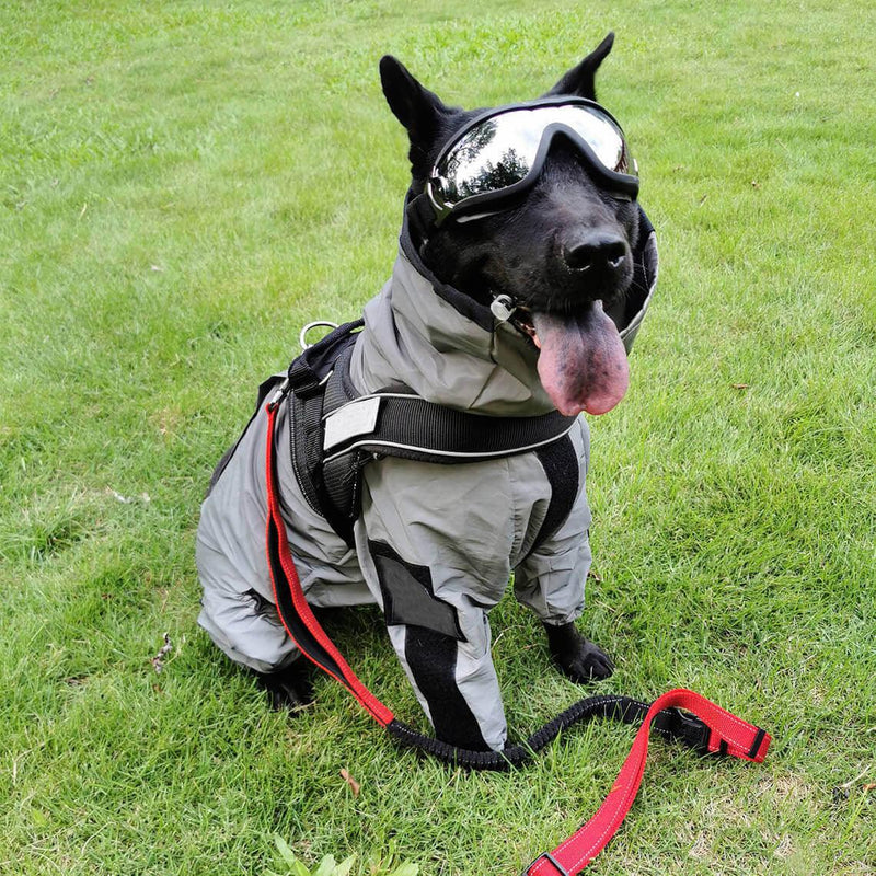 Reflective All-weather Waterproof Dog Rain Coat - milospaw