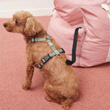 Waterproof Dog Car Seat Bed - First Class - milospaw